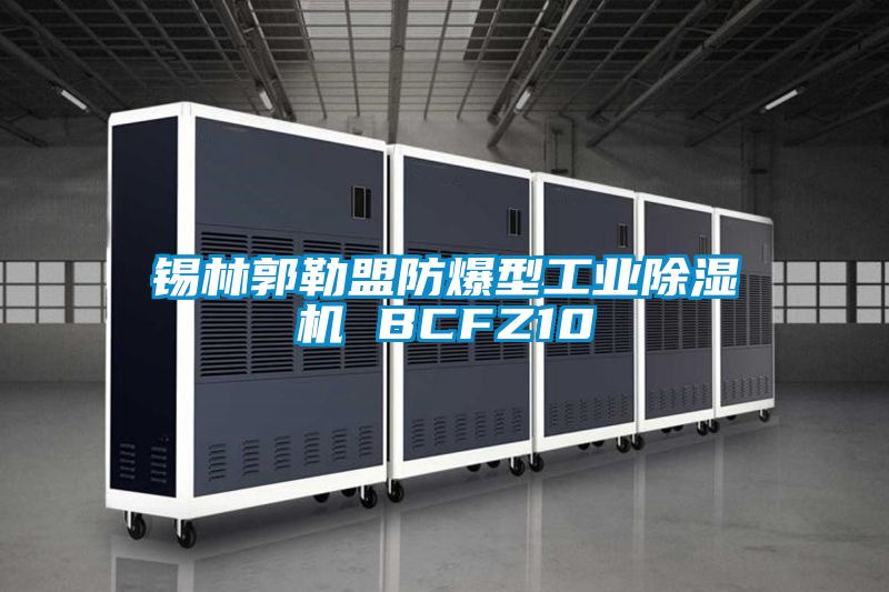 錫林郭勒盟防爆型工業(yè)除濕機 BCFZ10