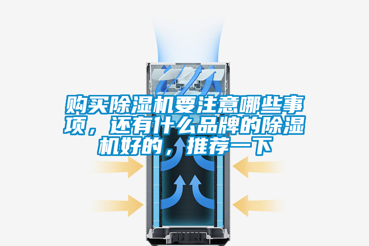 購買除濕機(jī)要注意哪些事項(xiàng)，還有什么品牌的除濕機(jī)好的，推薦一下