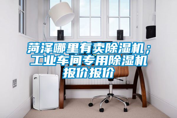 菏澤哪里有賣除濕機(jī)；工業(yè)車間專用除濕機(jī)報(bào)價(jià)報(bào)價(jià)