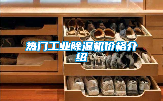 熱門(mén)工業(yè)除濕機(jī)價(jià)格介紹