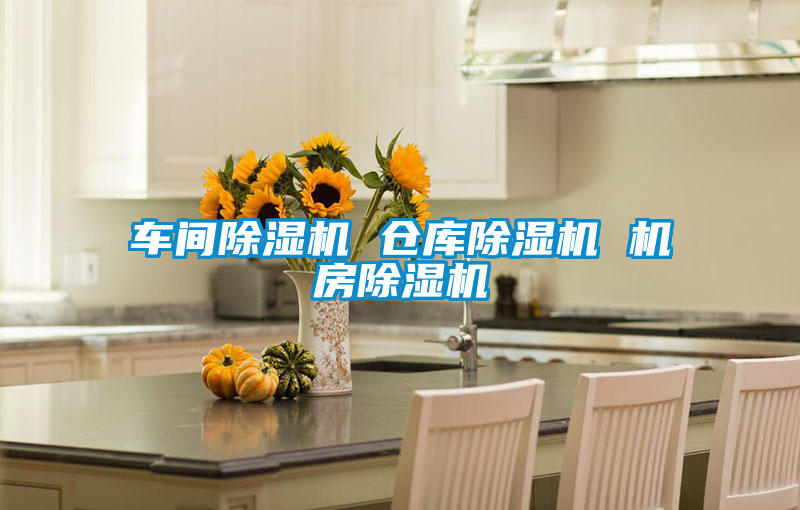 車間除濕機(jī) 倉(cāng)庫(kù)除濕機(jī) 機(jī)房除濕機(jī)