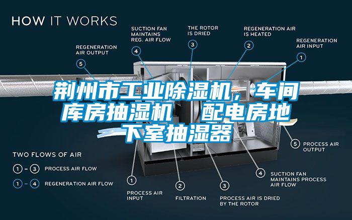 荊州市工業(yè)除濕機(jī)，車間庫房抽濕機(jī)  配電房地下室抽濕器
