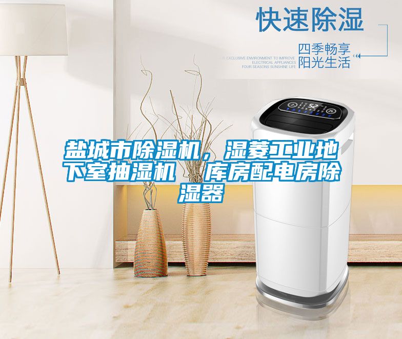 鹽城市除濕機(jī)，濕菱工業(yè)地下室抽濕機(jī)  庫房配電房除濕器
