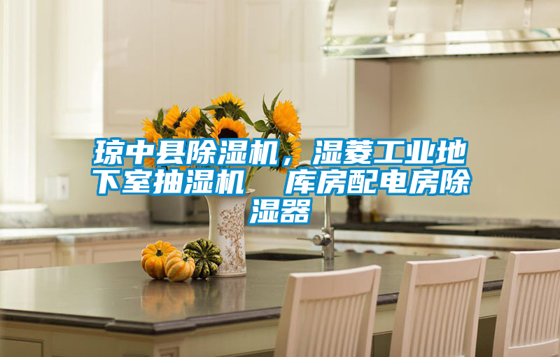瓊中縣除濕機(jī)，濕菱工業(yè)地下室抽濕機(jī)  庫房配電房除濕器