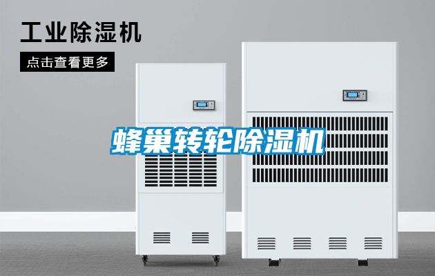 蜂巢轉(zhuǎn)輪除濕機(jī)