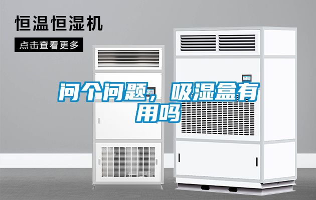 問個問題，吸濕盒有用嗎