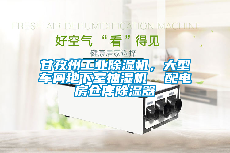 甘孜州工業(yè)除濕機(jī)，大型車間地下室抽濕機(jī)  配電房倉(cāng)庫(kù)除濕器
