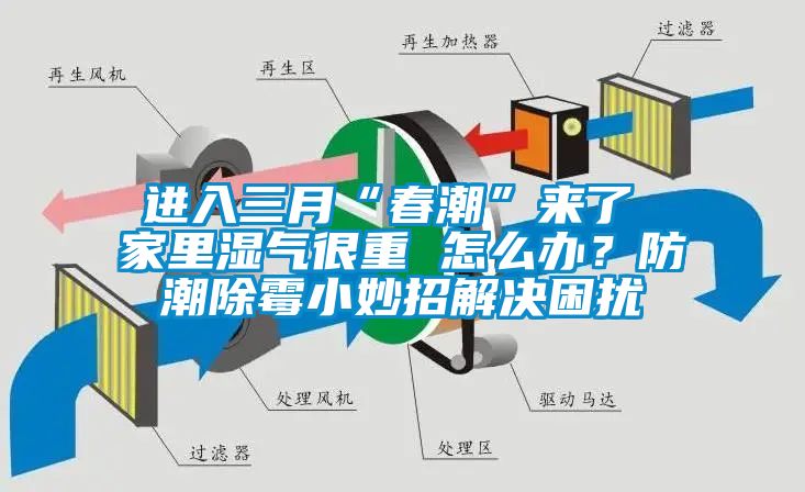 進(jìn)入三月“春潮”來(lái)了 家里濕氣很重 怎么辦？防潮除霉小妙招解決困擾