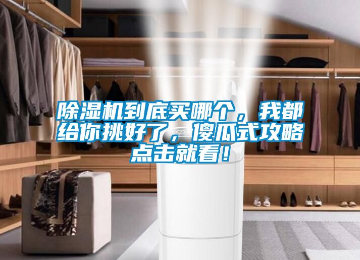 除濕機(jī)到底買哪個(gè)，我都給你挑好了，傻瓜式攻略點(diǎn)擊就看！