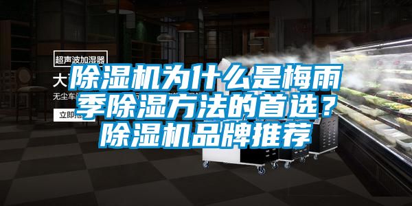 除濕機(jī)為什么是梅雨季除濕方法的首選？除濕機(jī)品牌推薦