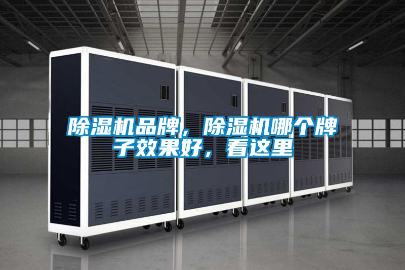 除濕機(jī)品牌，除濕機(jī)哪個(gè)牌子效果好，看這里