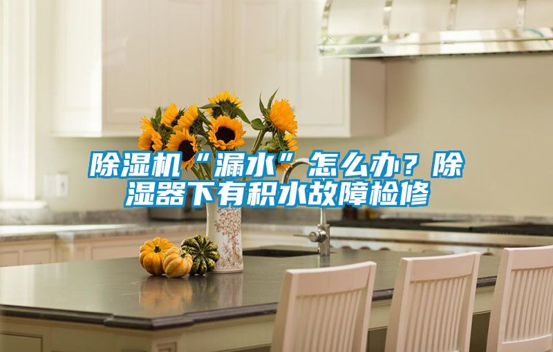 除濕機(jī)“漏水”怎么辦？除濕器下有積水故障檢修