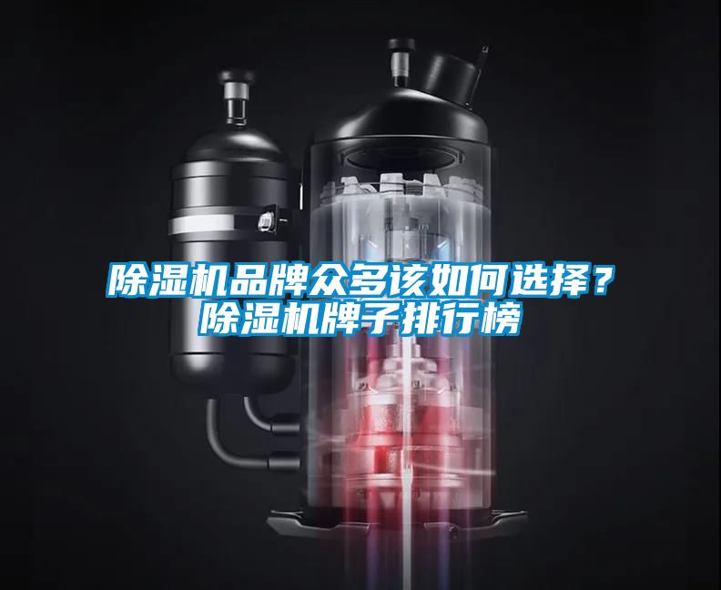 除濕機(jī)品牌眾多該如何選擇？除濕機(jī)牌子排行榜