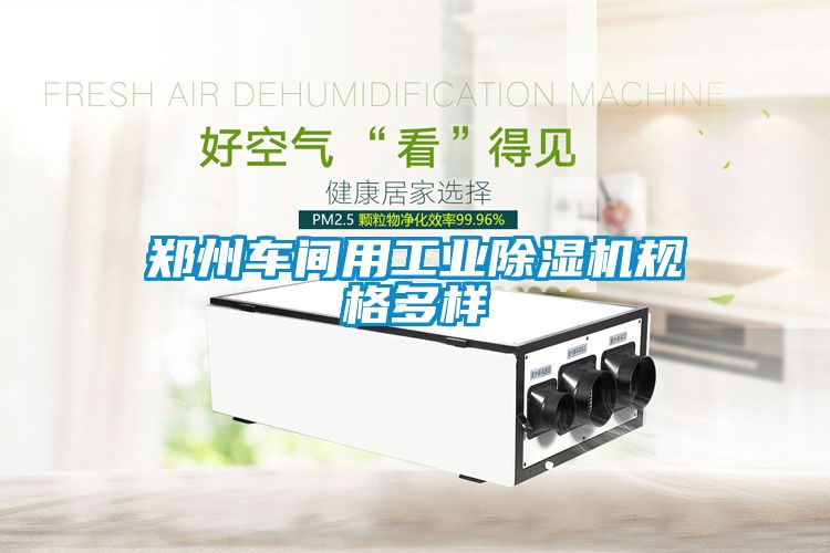 鄭州車(chē)間用工業(yè)除濕機(jī)規(guī)格多樣