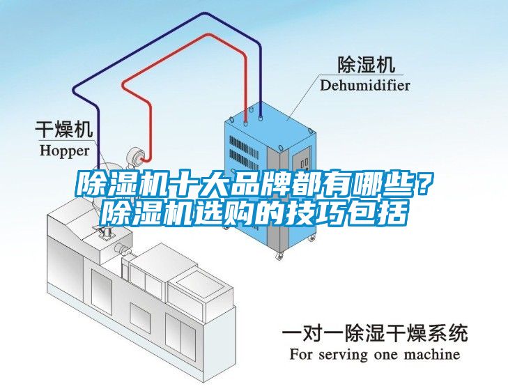 除濕機(jī)十大品牌都有哪些？除濕機(jī)選購的技巧包括