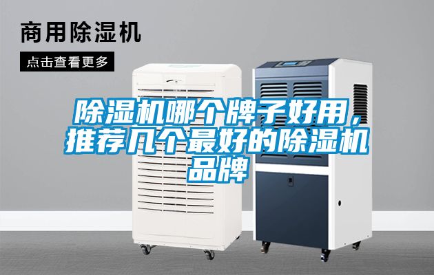 除濕機哪個牌子好用，推薦幾個最好的除濕機品牌