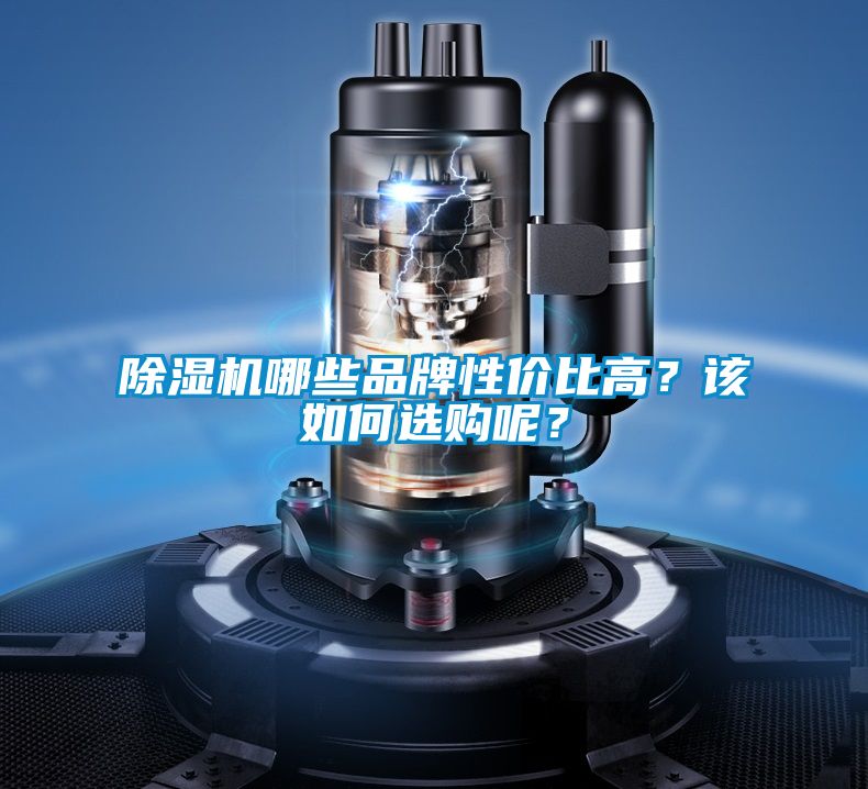 除濕機(jī)哪些品牌性價(jià)比高？該如何選購(gòu)呢？
