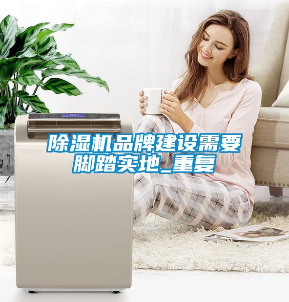 除濕機(jī)品牌建設(shè)需要腳踏實地_重復(fù)