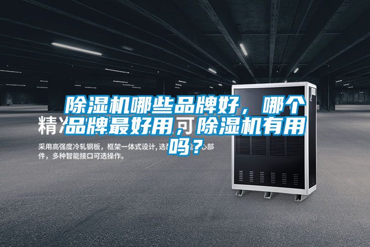 除濕機(jī)哪些品牌好，哪個(gè)品牌最好用，除濕機(jī)有用嗎？
