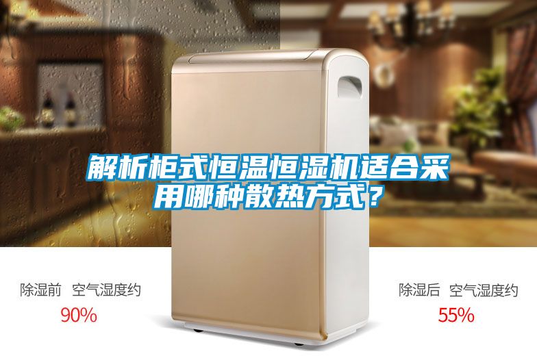 解析柜式恒溫恒濕機(jī)適合采用哪種散熱方式？