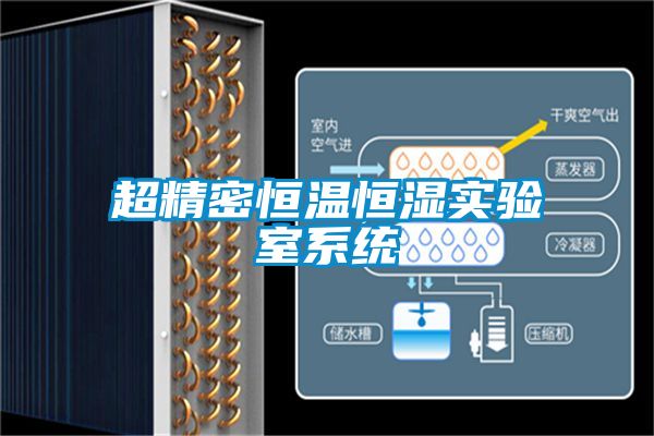 超精密恒溫恒濕實驗室系統(tǒng)