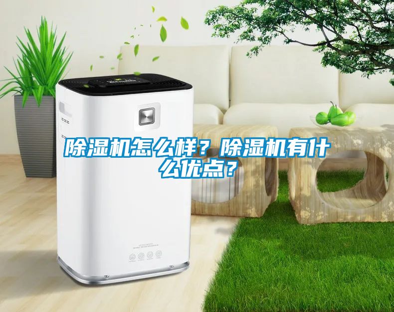 除濕機(jī)怎么樣？除濕機(jī)有什么優(yōu)點(diǎn)？