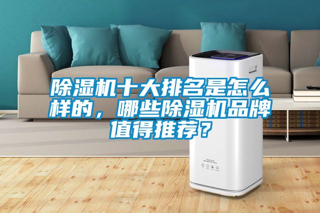 除濕機(jī)十大排名是怎么樣的，哪些除濕機(jī)品牌值得推薦？