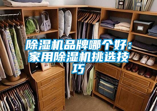 除濕機(jī)品牌哪個好：家用除濕機(jī)挑選技巧