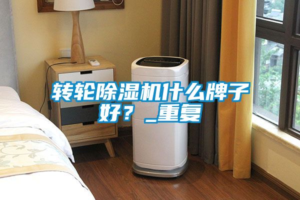轉(zhuǎn)輪除濕機(jī)什么牌子好？_重復(fù)
