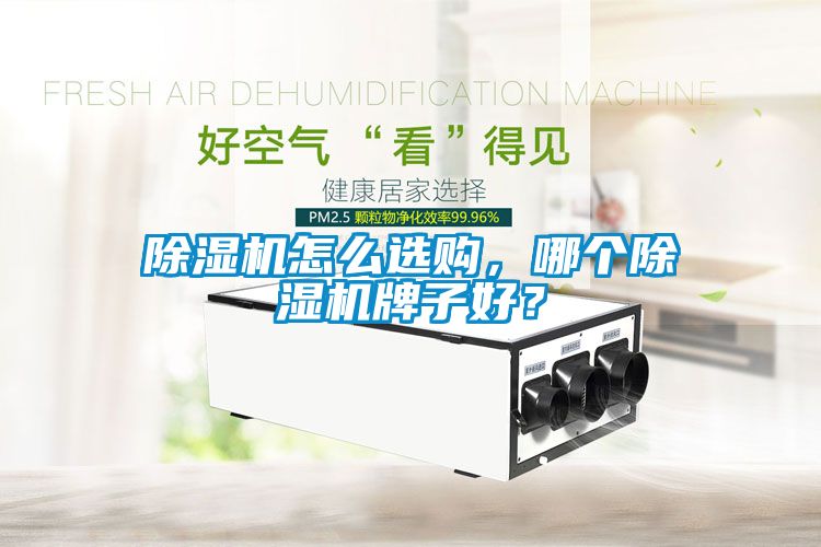 除濕機(jī)怎么選購(gòu)，哪個(gè)除濕機(jī)牌子好？