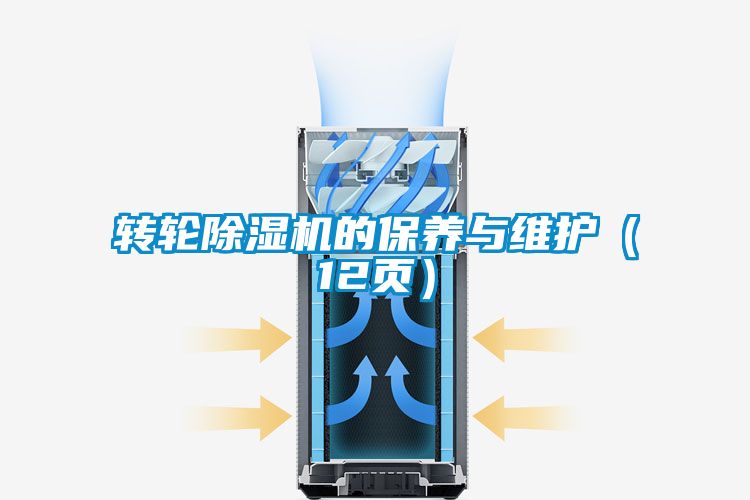 轉(zhuǎn)輪除濕機的保養(yǎng)與維護（12頁）