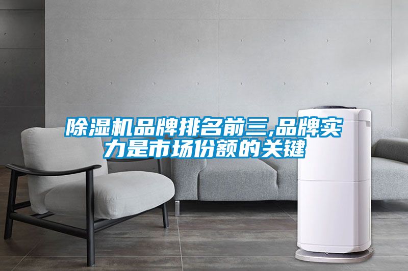除濕機(jī)品牌排名前三,品牌實(shí)力是市場份額的關(guān)鍵