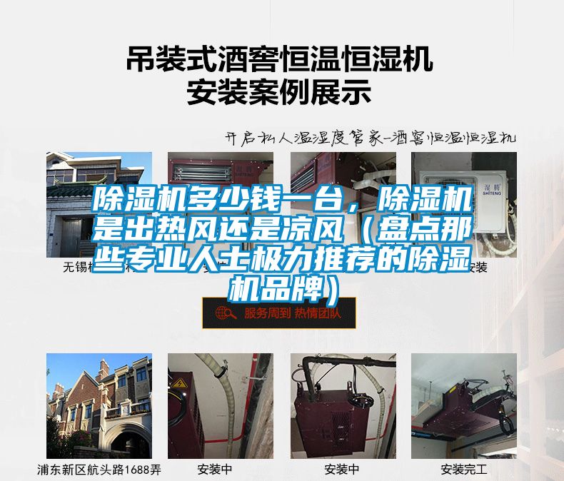 除濕機(jī)多少錢一臺(tái)，除濕機(jī)是出熱風(fēng)還是涼風(fēng)（盤點(diǎn)那些專業(yè)人士極力推薦的除濕機(jī)品牌）