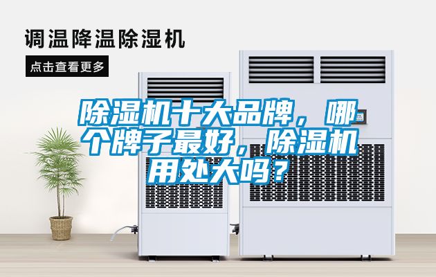 除濕機(jī)十大品牌，哪個(gè)牌子最好，除濕機(jī)用處大嗎？