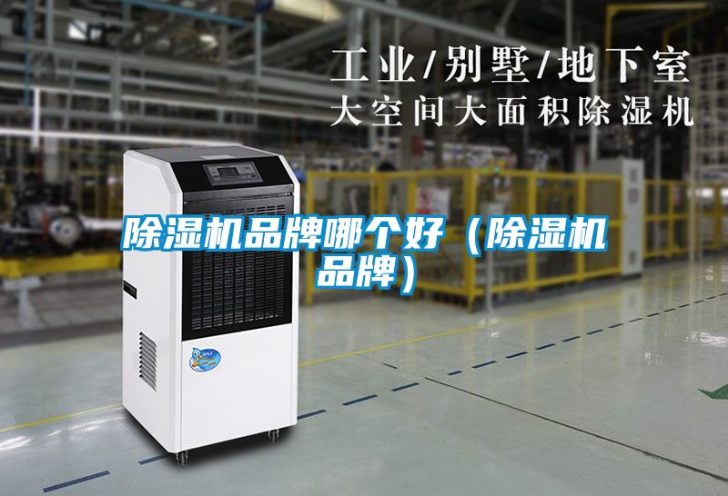 除濕機(jī)品牌哪個好（除濕機(jī)品牌）