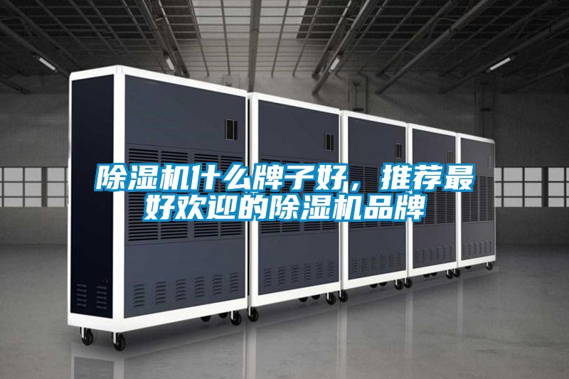 除濕機(jī)什么牌子好，推薦最好歡迎的除濕機(jī)品牌