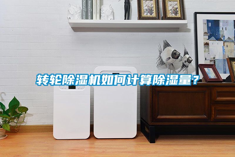 轉(zhuǎn)輪除濕機如何計算除濕量？