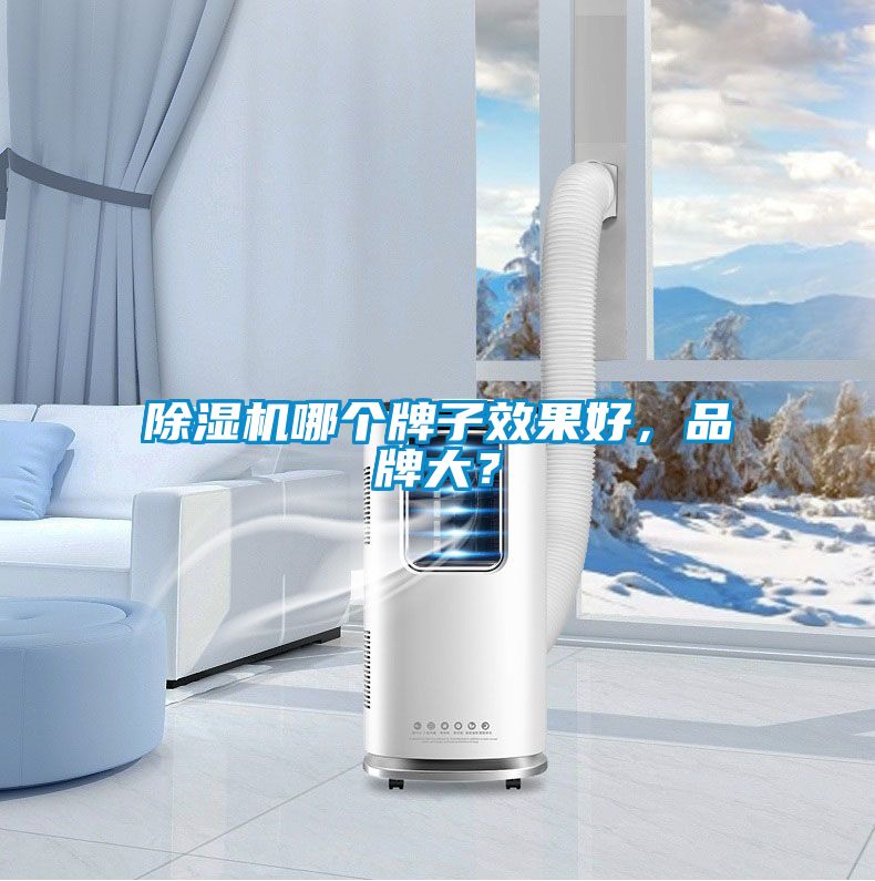 除濕機(jī)哪個(gè)牌子效果好，品牌大？