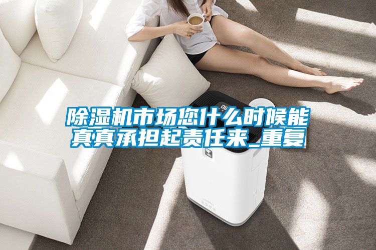 除濕機(jī)市場您什么時候能真真承擔(dān)起責(zé)任來_重復(fù)