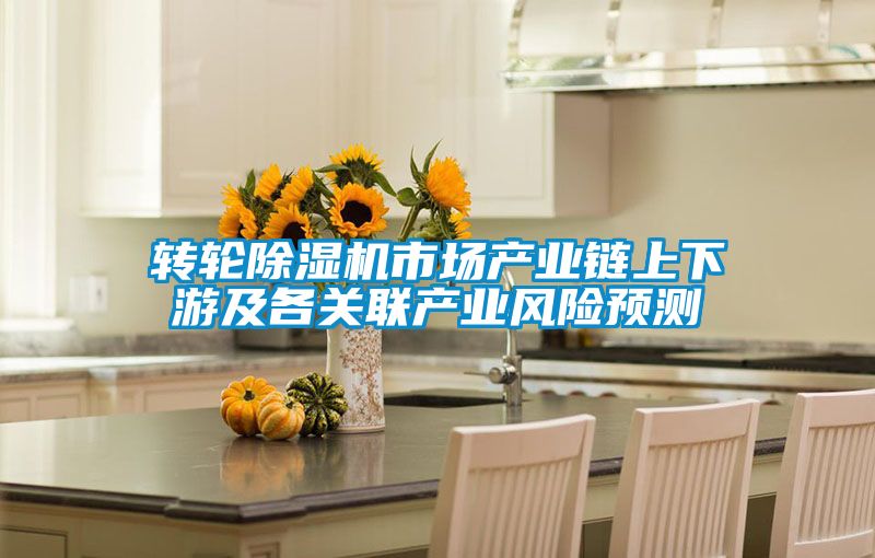 轉輪除濕機市場產業(yè)鏈上下游及各關聯產業(yè)風險預測