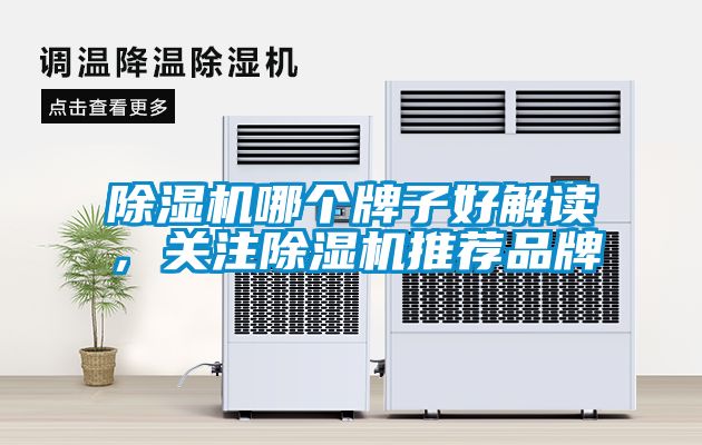除濕機哪個牌子好解讀，關注除濕機推薦品牌