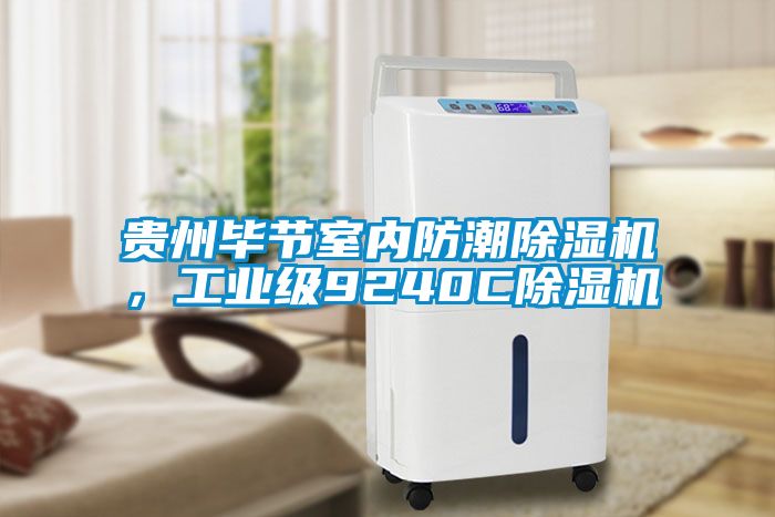 貴州畢節(jié)室內(nèi)防潮除濕機(jī)，工業(yè)級(jí)9240C除濕機(jī)