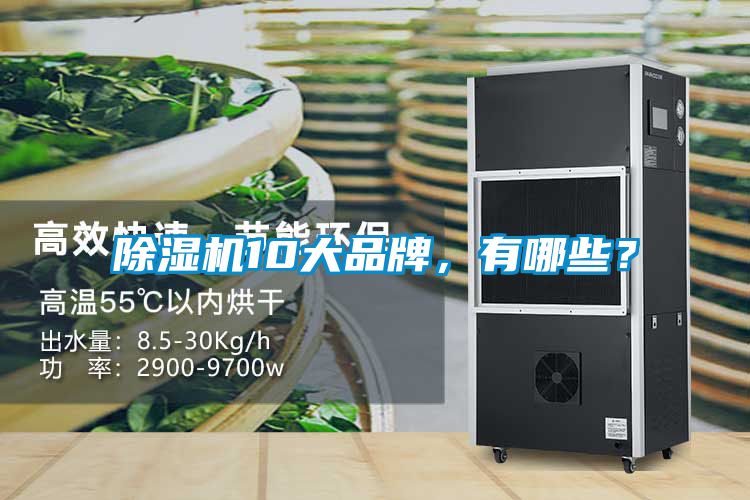 除濕機(jī)10大品牌，有哪些？