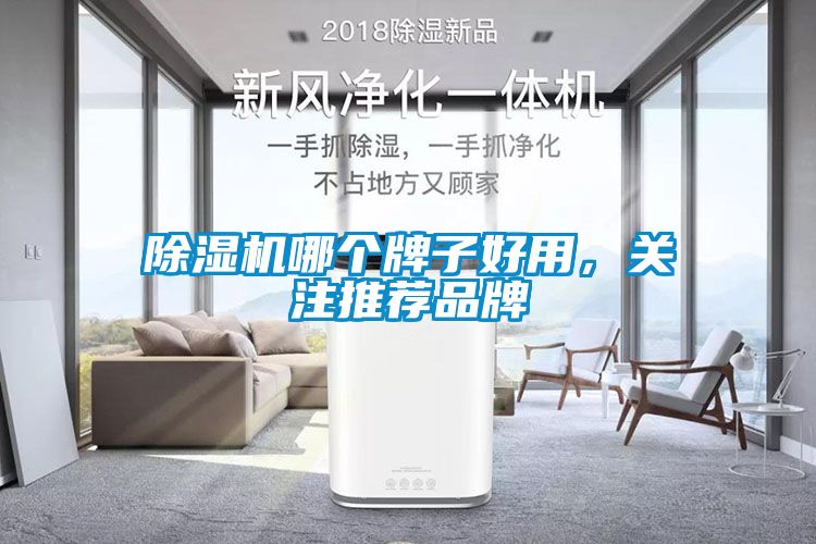 除濕機哪個牌子好用，關(guān)注推薦品牌
