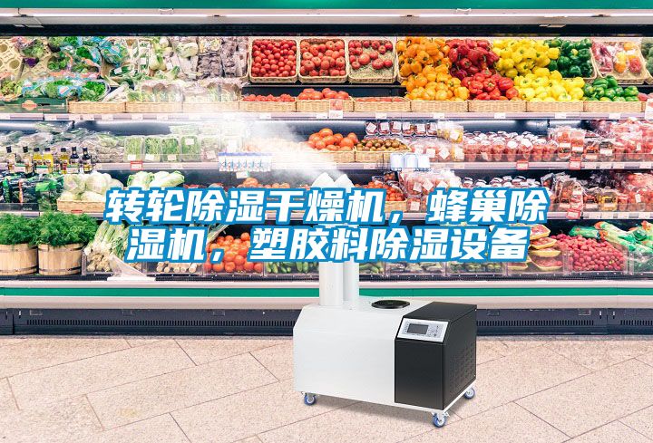 轉(zhuǎn)輪除濕干燥機(jī)，蜂巢除濕機(jī)，塑膠料除濕設(shè)備