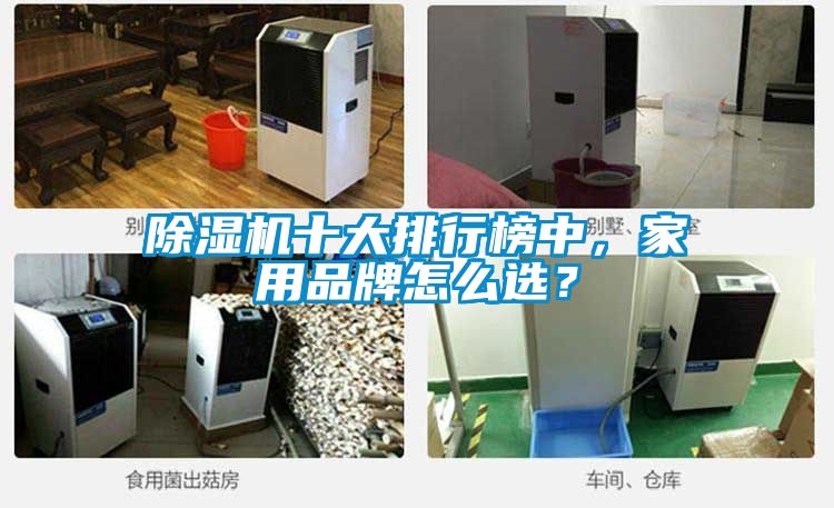除濕機(jī)十大排行榜中，家用品牌怎么選？