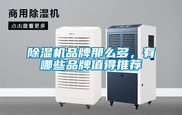 除濕機(jī)品牌那么多，有哪些品牌值得推薦