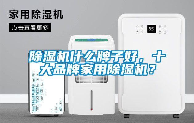 除濕機(jī)什么牌子好，十大品牌家用除濕機(jī)？