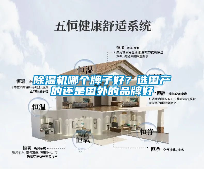 除濕機(jī)哪個(gè)牌子好？選國(guó)產(chǎn)的還是國(guó)外的品牌好