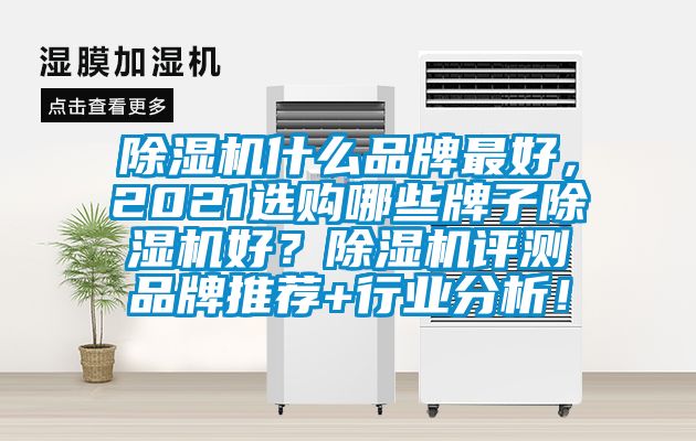 除濕機(jī)什么品牌最好，2021選購哪些牌子除濕機(jī)好？除濕機(jī)評測品牌推薦+行業(yè)分析！